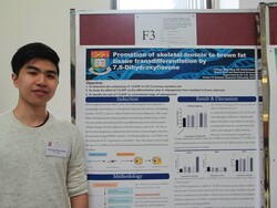 poster presentation